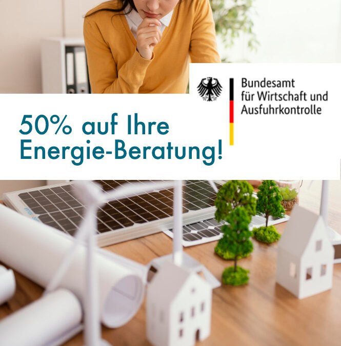 Wir sparen Ihnen 50 % der Energieberatung – mit der Bafa-Förderung!